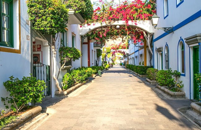 Apartamentos LIVVO Puerto de Mogán - Foto 47