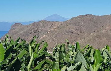 Casa Tajaraste - Foto 35