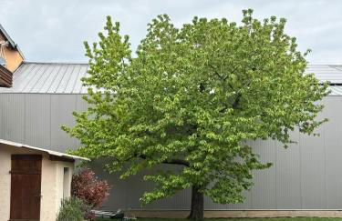 Schwalmala Logement calme au coeur du vignoble - Foto 28