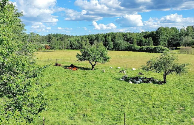 7 Person Holiday Home in Nykvarn-by Traum - Photo 26