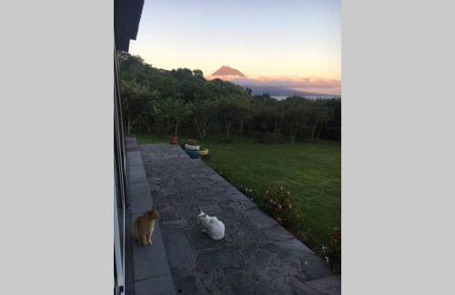 Summer house with BBQ and Garden - Foto 29