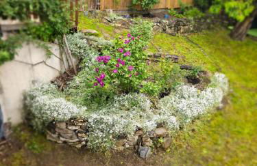 La BREZOUNIÉRE 2 - Foto 39