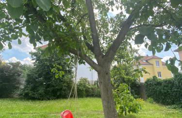 BookingAlsace - Maison Mittelharth Parking Jardin - Foto 47