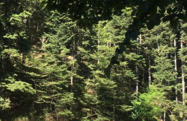 Maison de vacances, vue magnifique - Photo 61