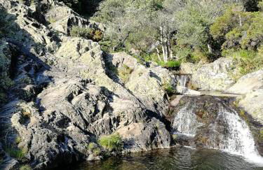 Casa do Coentral a sua casa Rustica - Foto 57