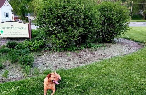 Wolf's Cabin-Walk to Downtown Noblesville - Foto 44