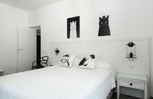 Il gatto Franco - Photo 38