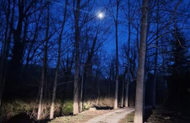 Can Torrotes - Foto 79