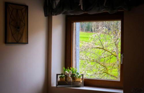 Gîte de la Ravanne - Foto 19