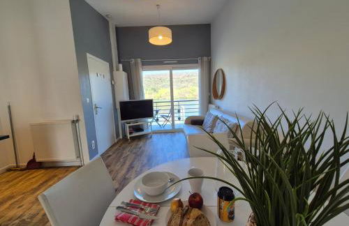 Balcons sur Seine - Vernon Giverny - Foto 59