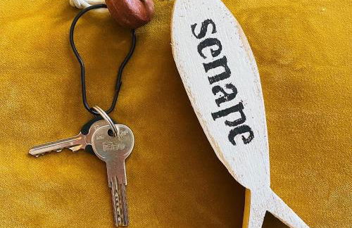 Lupicante 56 Cesenatico - Foto 27