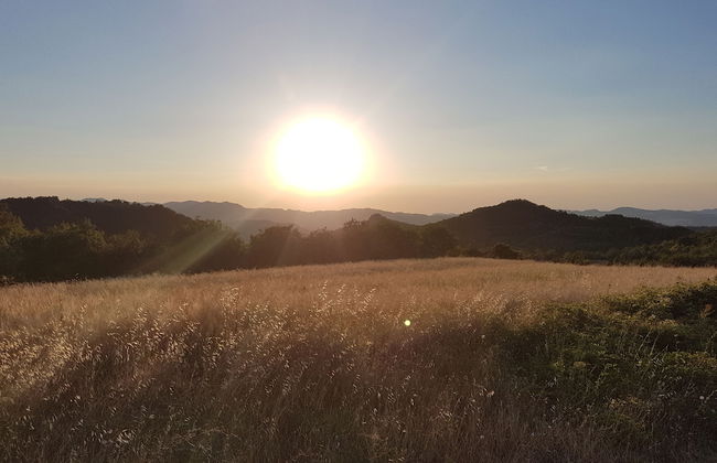 Agriturismo Piccola Raieda - Photo 26