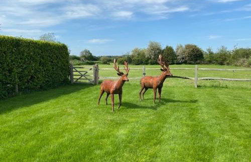 THE LODGE Touch of the Alps in West Sussex - Foto 24