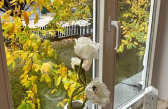 Apartment Fewo Fröhlich by Interhome - Foto 3