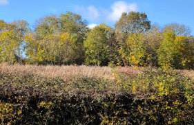 Tranquil Countryside Cottage near Loughborough - Foto 29