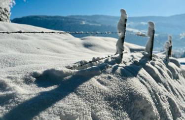 Landhaus Eibelesee - Foto 58