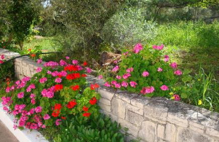 Calamon Apartments - Foto 26