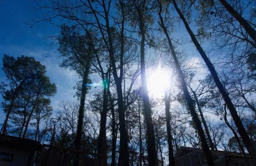 Cozy tiny house 10 minutes from UGA - Foto 38