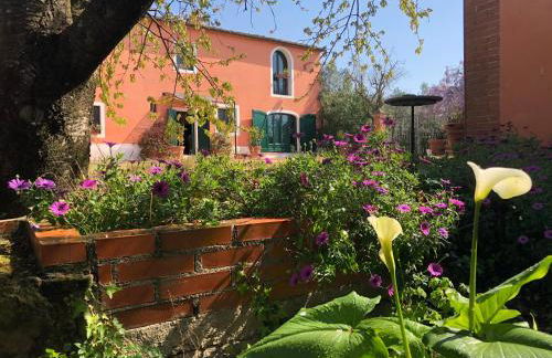 Agriturismo Podere Marchiano - Foto 81