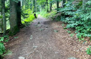 Exklusive 82 qm Loftwohnung mit Tiefgarage und Süd-Balkon zentral - Foto 41