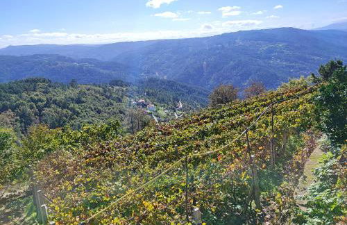 Casa da Avó - Foto 29