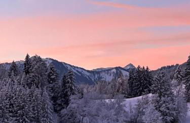 Bergnest Bad Bayersoien - Foto 23