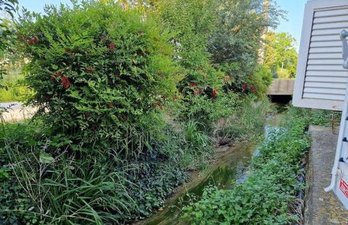 La casetta di Flo - Foto 12