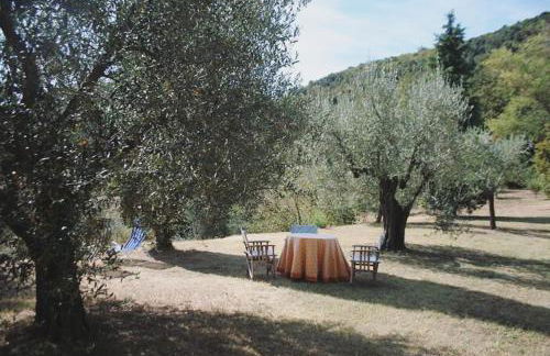 Podere Gli Oppi Toscana - Foto 43