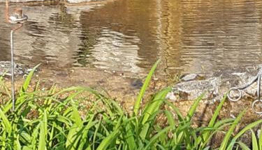 Country Residence Turicchi - Foto 3