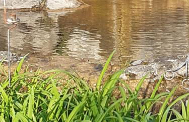 Country Residence Turicchi - Foto 3