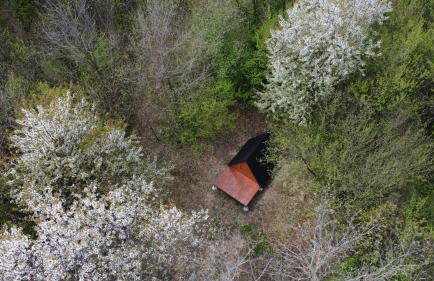 Dushka Mountain Cabin - Photo 46