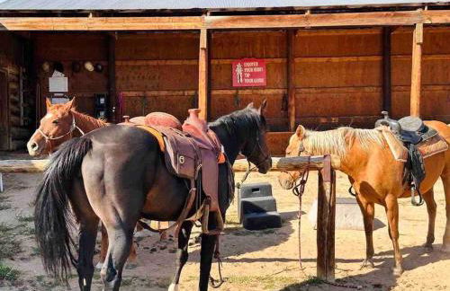 New! Historic Chalet in Colorado National Forest - Foto 28