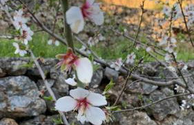 La dimora di Titiro - Foto 34