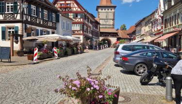 Ferienwohnung Blumenfeld - Foto 4