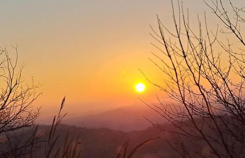 B&B Le Scintille - Foto 43