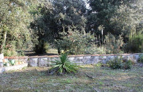 Maison calme à 300m de la plage avec véranda et grand jardin - FR-1-246A-367 - Foto 16