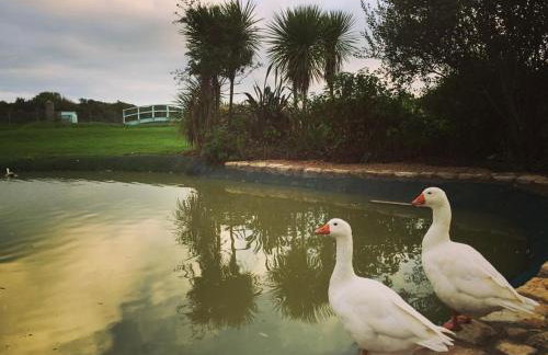 Jurassic Loft Apartment - Foto 13