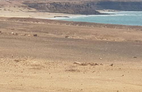 Apartamentos Cotillo Family - Foto 38