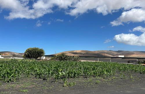 Sombra de Guanapay - Foto 39