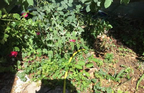 Numéro 190 rue des moulins Nid douillet au cœur de la haute Provence vachéres - Foto 34