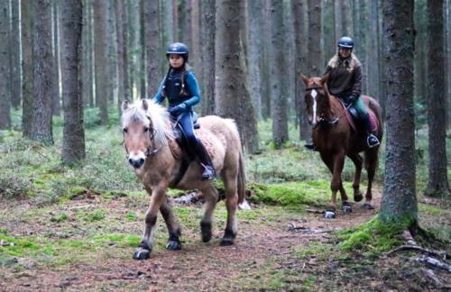 Ferienhof Gerda - Foto 61