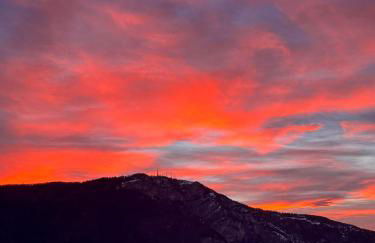 Maso K - Il Gufo Dorato - Foto 61