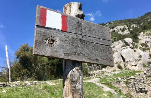 La Libraia - Foto 35