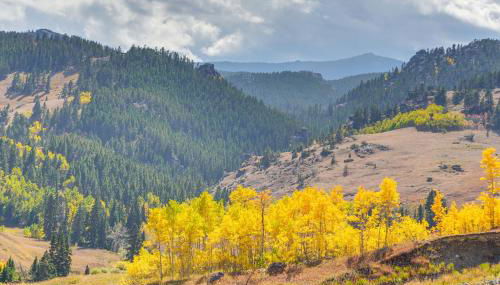 7 Mi to Bighorn Natl Forest Dog-Friendly Home - Foto 3