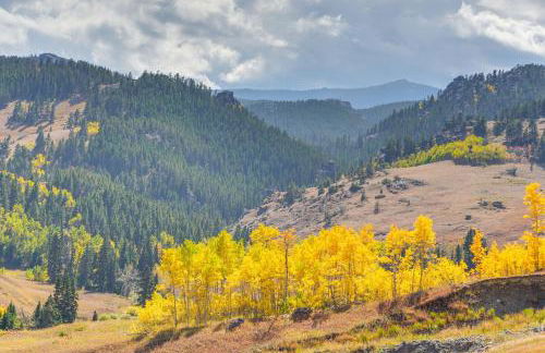 7 Mi to Bighorn Natl Forest Dog-Friendly Home - Foto 3