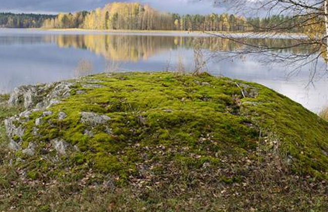 Kopinkallio 3 - Foto 12