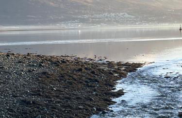 Marys view - Foto 26