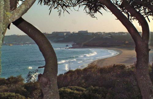 205 Casa Cactus - Foto 18