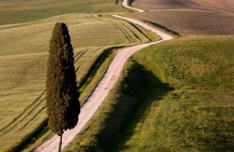 Agriturismo Mocine - Foto 75