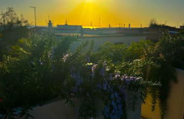 Luxury Apartments Collection Sand Suite - Foto 30